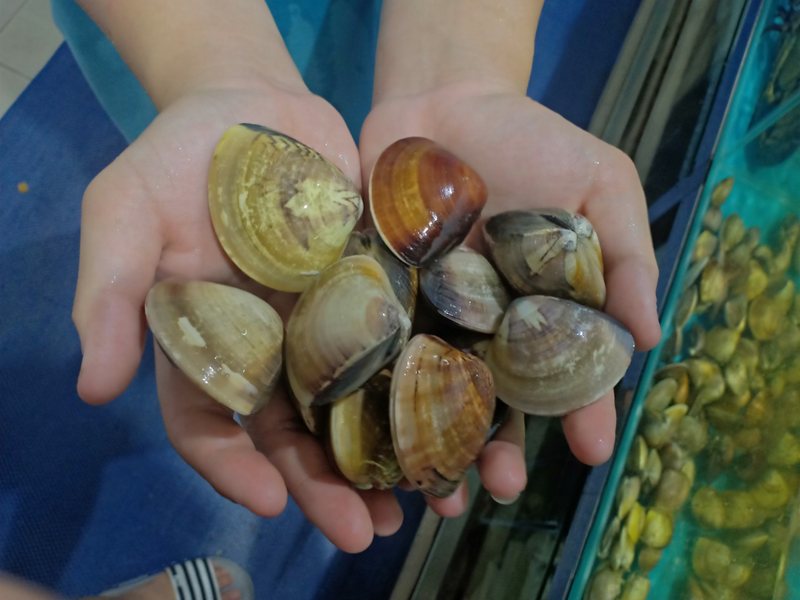 Mơ thấy ngao - 9 điềm báo & cặp số dễ trúng