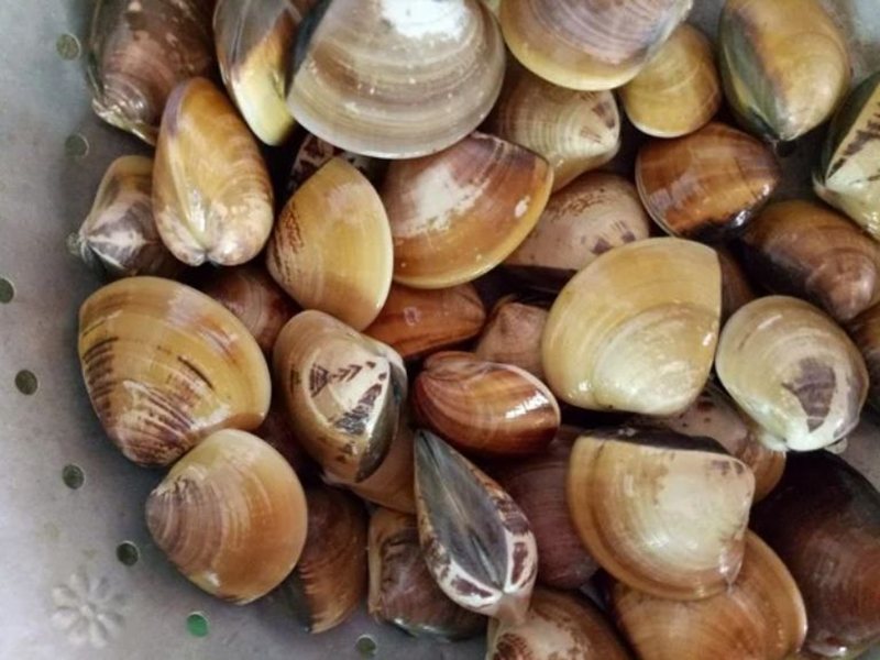 Bảng tóm lược cặp số hay gặp khi mơ thấy ngao